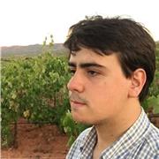 Estudiante universitario ofrece clases de Historia del Arte